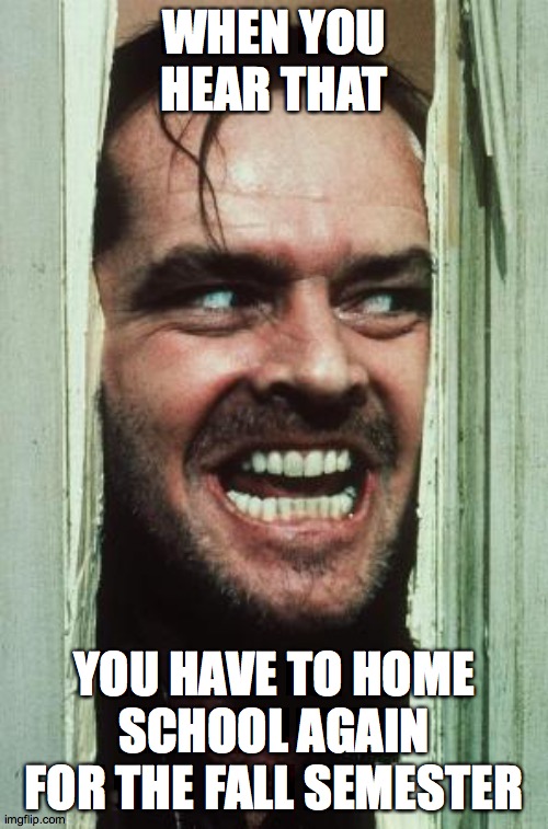 Not more home schooling | WHEN YOU HEAR THAT; YOU HAVE TO HOME SCHOOL AGAIN FOR THE FALL SEMESTER | image tagged in memes,here's johnny | made w/ Imgflip meme maker