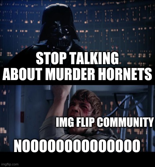 Star Wars No | STOP TALKING ABOUT MURDER HORNETS; IMG FLIP COMMUNITY; NOOOOOOOOOOOOOO | image tagged in memes | made w/ Imgflip meme maker