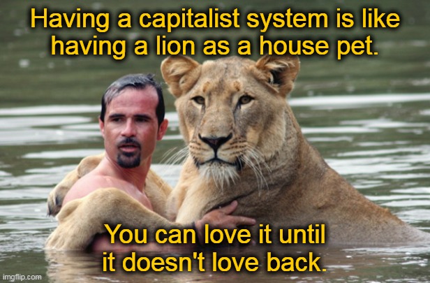 Having a capitalist system... | Having a capitalist system is like
having a lion as a house pet. You can love it until
it doesn't love back. | image tagged in lion awkward romance | made w/ Imgflip meme maker