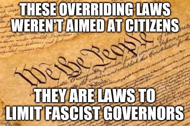 US Constitution protects people from fascists in power | THESE OVERRIDING LAWS WEREN'T AIMED AT CITIZENS; THEY ARE LAWS TO LIMIT FASCIST GOVERNORS | image tagged in us,constitution,fascists,fascist,governors,fight | made w/ Imgflip meme maker