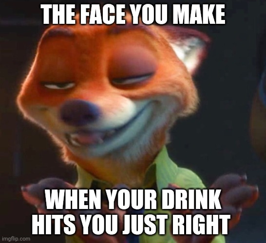 Drunk Nick Wilde | THE FACE YOU MAKE; WHEN YOUR DRINK HITS YOU JUST RIGHT | image tagged in nick wilde drunk,zootopia,nick wilde,the face you make when,drunk,funny | made w/ Imgflip meme maker