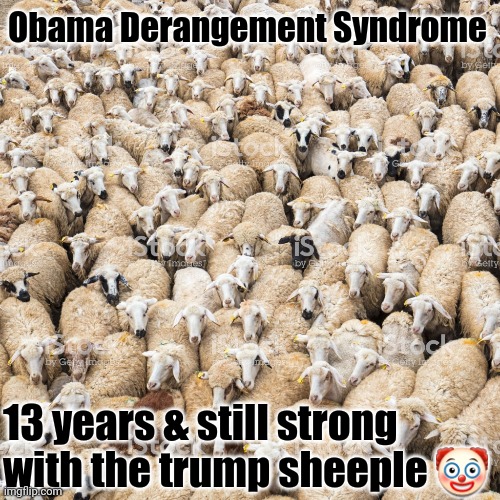 Will trumpers ever stop crying about Obama? | Obama Derangement Syndrome; 13 years & still strong with the trump sheeple 🤡 | image tagged in donald trump approves,babies | made w/ Imgflip meme maker