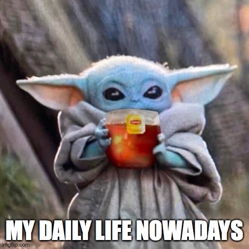 my new life | MY DAILY LIFE NOWADAYS | image tagged in baby yoda sipping tea | made w/ Imgflip meme maker