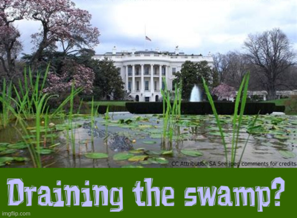 Trump draining the swamp? | image tagged in white house | made w/ Imgflip meme maker