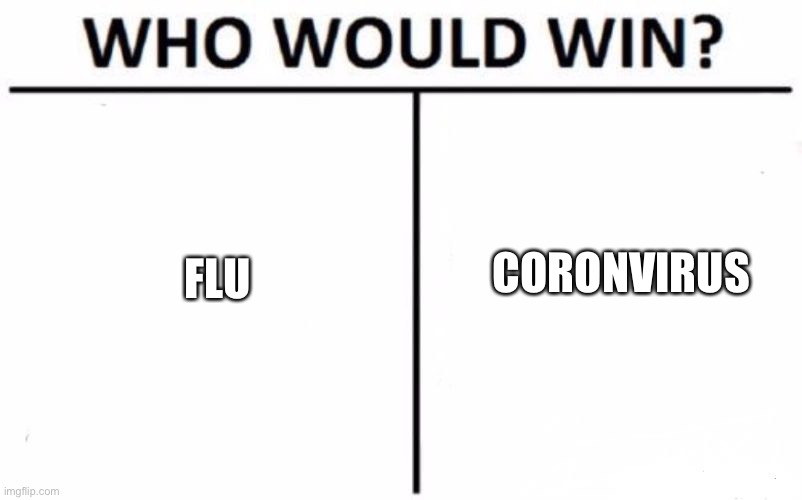 Who Would Win? | CORONVIRUS; FLU | image tagged in memes,who would win | made w/ Imgflip meme maker