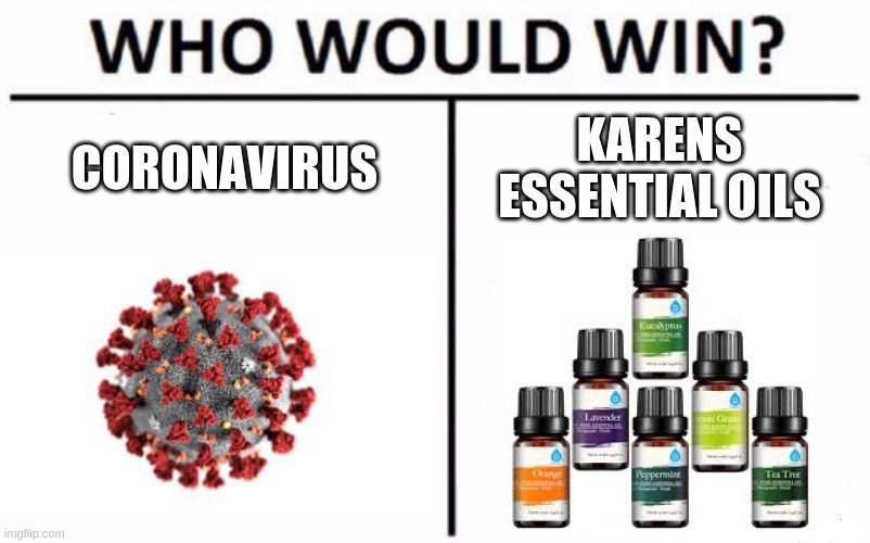 BEGONE KAREN | CORONAVIRUS; KARENS ESSENTIAL OILS | image tagged in memes,who would win | made w/ Imgflip meme maker