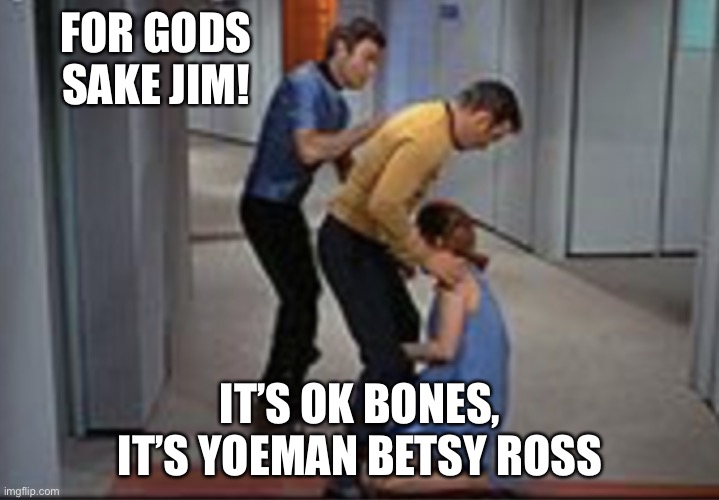 Job promotion | FOR GODS SAKE JIM! IT’S OK BONES, IT’S YOEMAN BETSY ROSS | image tagged in job promotion | made w/ Imgflip meme maker
