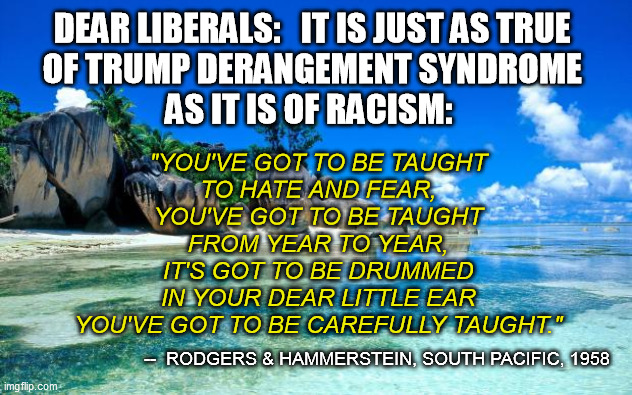 It's not like the message doesn't come obviously from every possible direction, MSM and more | DEAR LIBERALS:   IT IS JUST AS TRUE 
OF TRUMP DERANGEMENT SYNDROME 
AS IT IS OF RACISM:; "YOU'VE GOT TO BE TAUGHT
TO HATE AND FEAR,
YOU'VE GOT TO BE TAUGHT
FROM YEAR TO YEAR,
IT'S GOT TO BE DRUMMED
IN YOUR DEAR LITTLE EAR
YOU'VE GOT TO BE CAREFULLY TAUGHT."; --  RODGERS & HAMMERSTEIN, SOUTH PACIFIC, 1958 | image tagged in tds,trump derangement syndrome,south pacific,you're got to be taught to hate and fear,musical,rodgers and hammerstein | made w/ Imgflip meme maker