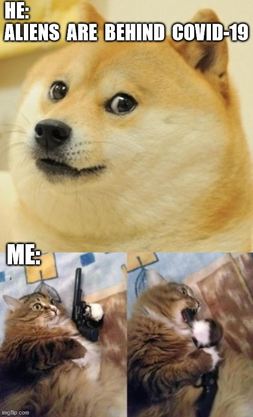 no title :))) | HE:
ALIENS  ARE  BEHIND  COVID-19; ME: | image tagged in memes,doge,cats,fun,covid-19,aliens | made w/ Imgflip meme maker
