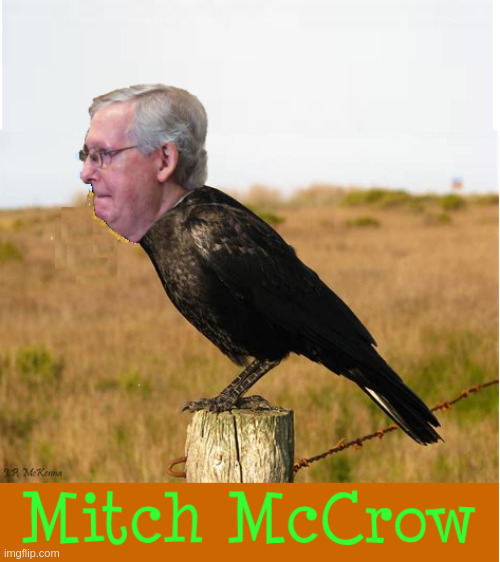 Mitch McCrow | image tagged in mitch mcconnell | made w/ Imgflip meme maker