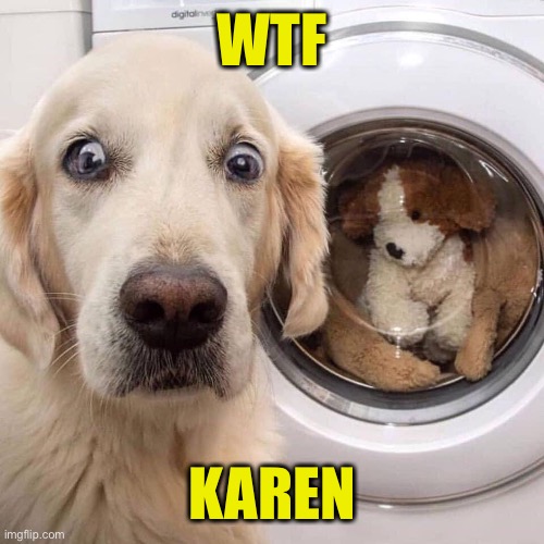 Where’s Fluffy? | WTF; KAREN | image tagged in wash,fluffy,surprised,dog,karen | made w/ Imgflip meme maker