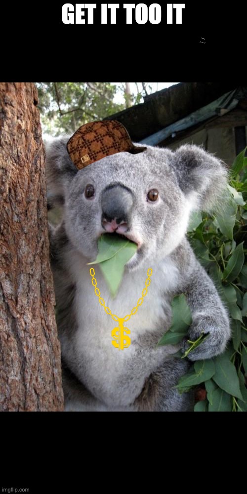 Surprised Koala Meme | GET IT TOO IT | image tagged in memes,surprised koala | made w/ Imgflip meme maker