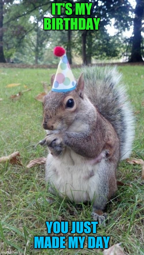 Super Birthday Squirrel Meme | IT'S MY BIRTHDAY YOU JUST MADE MY DAY | image tagged in memes,super birthday squirrel | made w/ Imgflip meme maker