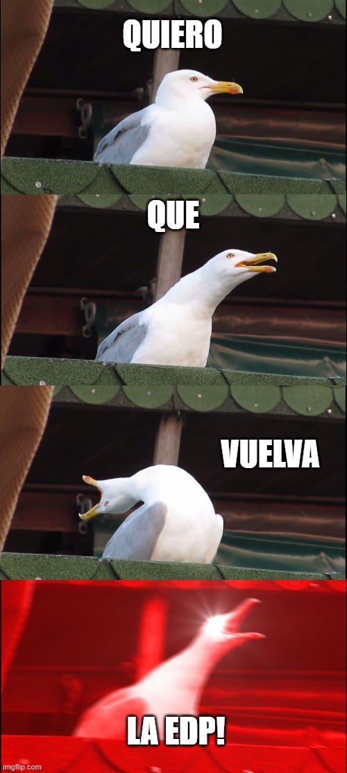 Inhaling Seagull Meme | QUIERO; QUE; VUELVA; LA EDP! | image tagged in memes,inhaling seagull | made w/ Imgflip meme maker