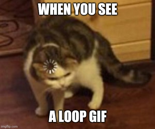 Hmmm... | WHEN YOU SEE; A LOOP GIF | image tagged in loading cat | made w/ Imgflip meme maker