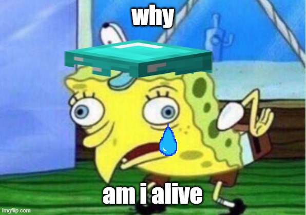 why oh why | why; am i alive | image tagged in memes,mocking spongebob | made w/ Imgflip meme maker