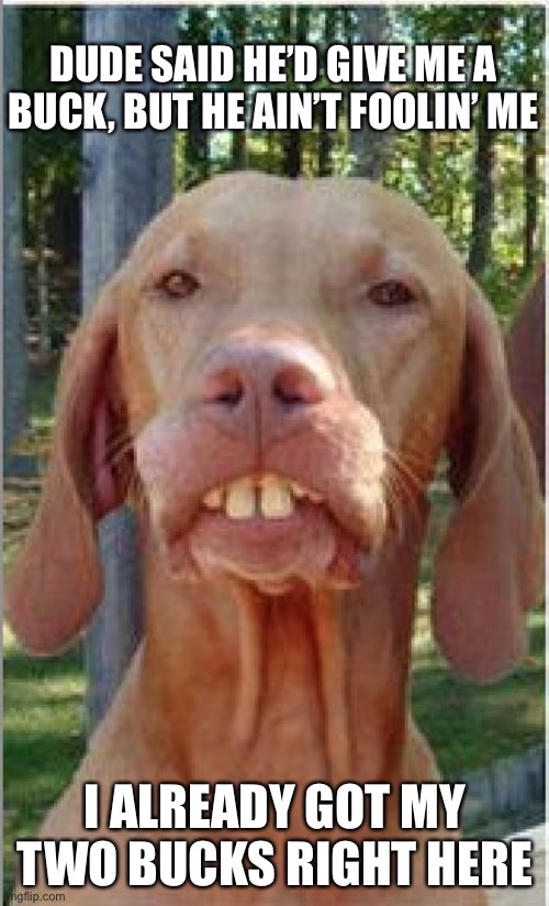 Buck Teeth | DUDE SAID HE’D GIVE ME A BUCK, BUT HE AIN’T FOOLIN’ ME I ALREADY GOT MY TWO BUCKS RIGHT HERE | image tagged in dog,dogs,redneck,funny,memes,dental | made w/ Imgflip meme maker