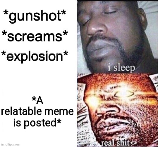 Relatable memes tho | *A relatable meme is posted* | image tagged in sleeping shaq / real shit | made w/ Imgflip meme maker