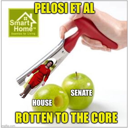 A Pile of Crap by Any Other Name Would Stink as Much | PELOSI ET AL; SENATE; HOUSE; ROTTEN TO THE CORE | image tagged in modernized shakespeare,romeo and juliet,pelosi,house democrats | made w/ Imgflip meme maker