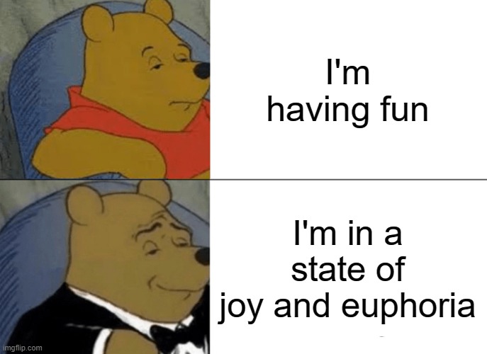 Tuxedo Winnie The Pooh Meme | I'm having fun; I'm in a state of joy and euphoria | image tagged in memes,tuxedo winnie the pooh | made w/ Imgflip meme maker