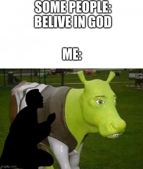 this is mt god! | SOME PEOPLE: BELIVE IN GOD; ME: | image tagged in shrek | made w/ Imgflip meme maker