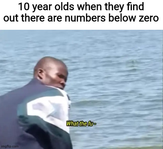 What the fu- | 10 year olds when they find out there are numbers below zero | image tagged in what the fu-,numbers,memes,kids,mathematics | made w/ Imgflip meme maker