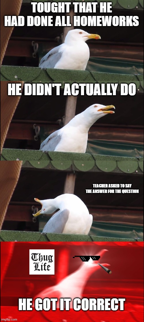 Inhaling Seagull Meme | TOUGHT THAT HE HAD DONE ALL HOMEWORKS; HE DIDN'T ACTUALLY DO; TEACHER ASKED TO SAY THE ANSWER FOR THE QUESTION; HE GOT IT CORRECT | image tagged in memes,inhaling seagull | made w/ Imgflip meme maker
