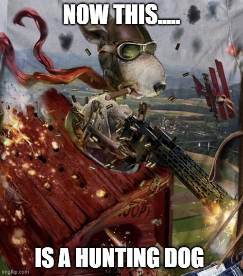 Snoopy and the Red Baron | NOW THIS..... IS A HUNTING DOG | image tagged in snoopy and the red baron | made w/ Imgflip meme maker