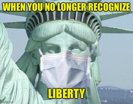 Missing Liberty | WHEN YOU NO LONGER RECOGNIZE; LIBERTY | image tagged in statue of liberty,face mask,pandemic,forced quarantine | made w/ Imgflip meme maker
