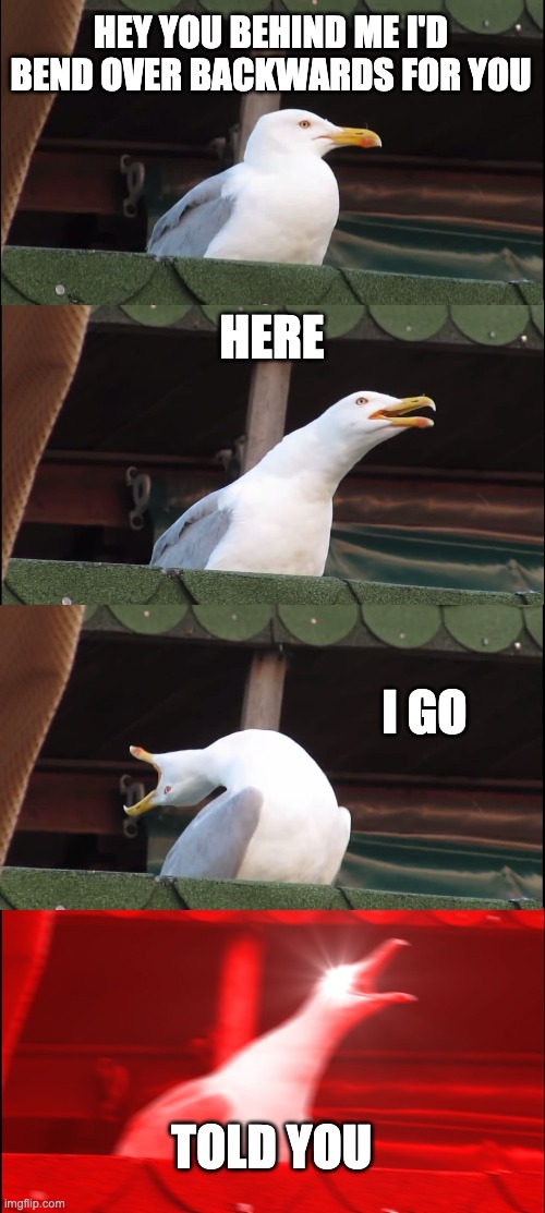 Inhaling Seagull |  HEY YOU BEHIND ME I'D BEND OVER BACKWARDS FOR YOU; HERE; I GO; TOLD YOU | image tagged in memes,inhaling seagull | made w/ Imgflip meme maker