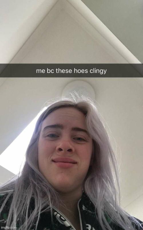 image tagged in billie eilish,funny | made w/ Imgflip meme maker