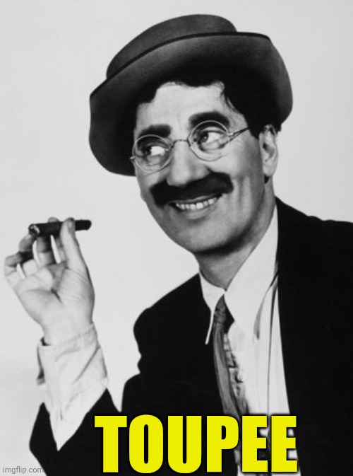 Touche | TOUPEE | image tagged in touche,toupee,pun,puns,groucho marx | made w/ Imgflip meme maker