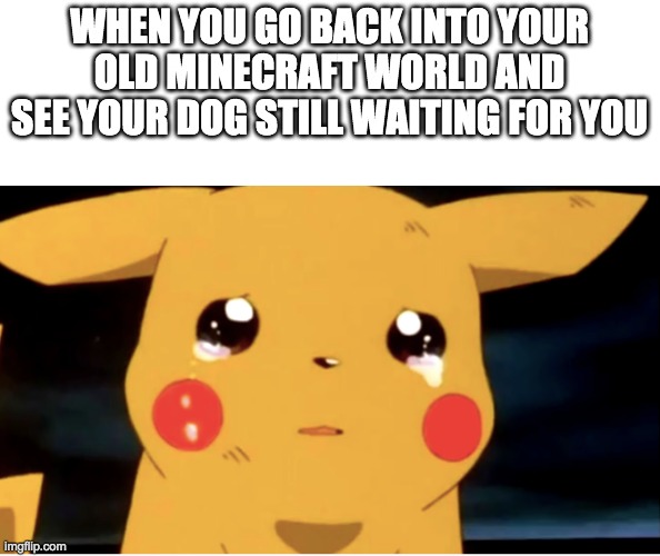 My pet wolf been waiting for me for 6 months now... | WHEN YOU GO BACK INTO YOUR OLD MINECRAFT WORLD AND SEE YOUR DOG STILL WAITING FOR YOU | image tagged in minecraft,wolf,memes,funny,pickachu | made w/ Imgflip meme maker