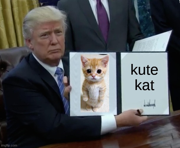 kute kat | kute
kat | image tagged in memes,cute cat,cats | made w/ Imgflip meme maker