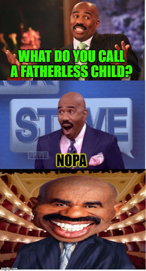 What does "nopa" mean? | WHAT DO YOU CALL A FATHERLESS CHILD? NOPA | image tagged in bad pun steve harvey,nopa,dark humor,steve harvey | made w/ Imgflip meme maker