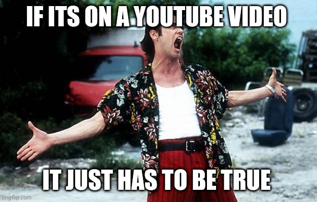 Ace Ventura | IF ITS ON A YOUTUBE VIDEO; IT JUST HAS TO BE TRUE | image tagged in ace ventura | made w/ Imgflip meme maker