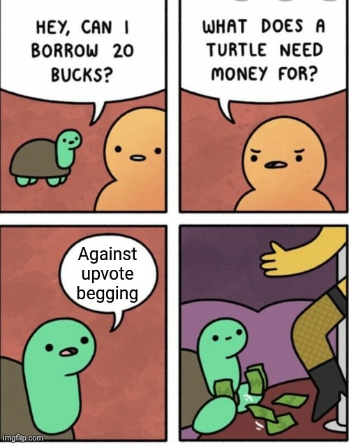 This turtle needs money to fight against upvote begging | Against upvote begging | image tagged in why does a turtle need money,memes,upvote begging,anti begging for upvotes | made w/ Imgflip meme maker