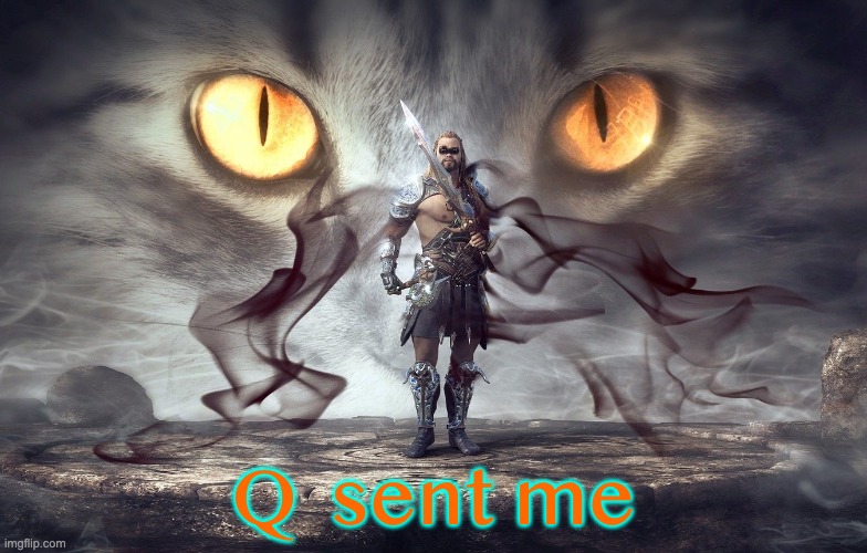 Q sent me - Warrior & Cats Eyes | Q  sent me | image tagged in political meme,cats | made w/ Imgflip meme maker
