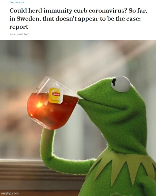 Sure lets open up, what have we got to lose? | image tagged in memes,but that's none of my business,coronavirus,donald trump is an idiot,maga,politics | made w/ Imgflip meme maker