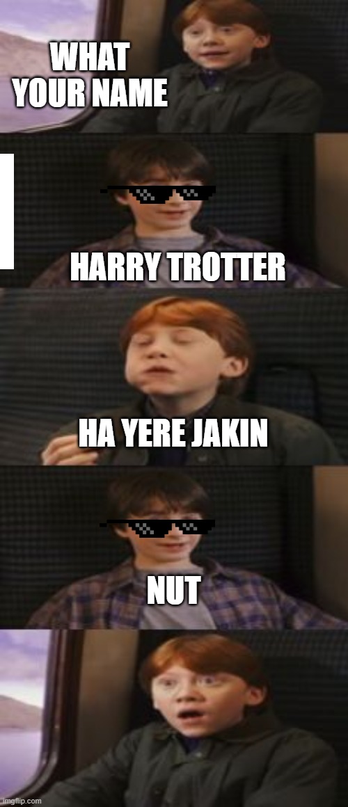Does harry potter have 7 books? | WHAT YOUR NAME; HARRY TROTTER; HA YERE JAKIN; NUT | image tagged in funny | made w/ Imgflip meme maker
