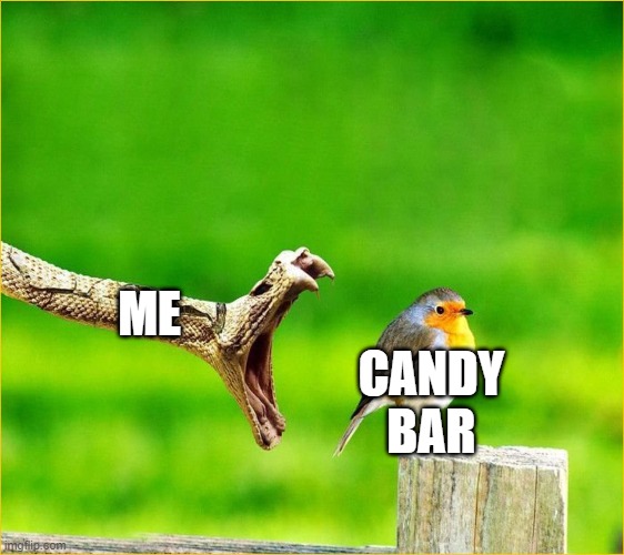 Snake Reality Bites | ME CANDY BAR | image tagged in snake reality bites | made w/ Imgflip meme maker