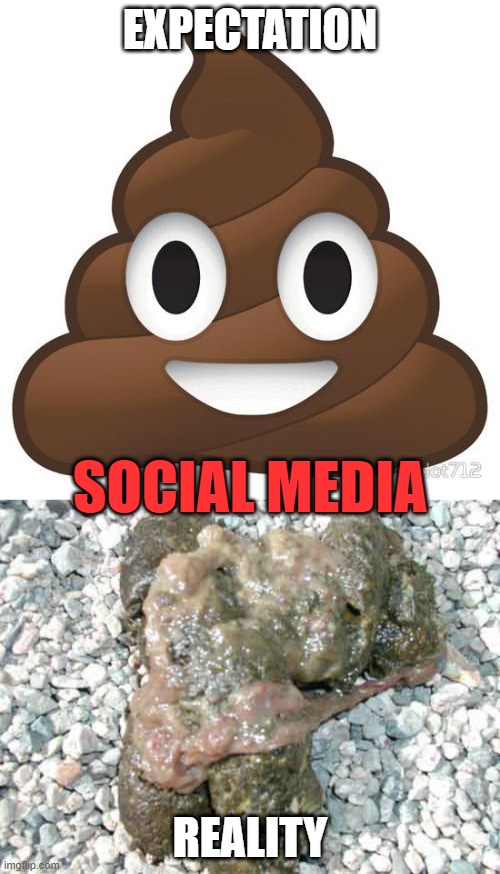 EXPECTATION; SOCIAL MEDIA; REALITY | image tagged in poop | made w/ Imgflip meme maker