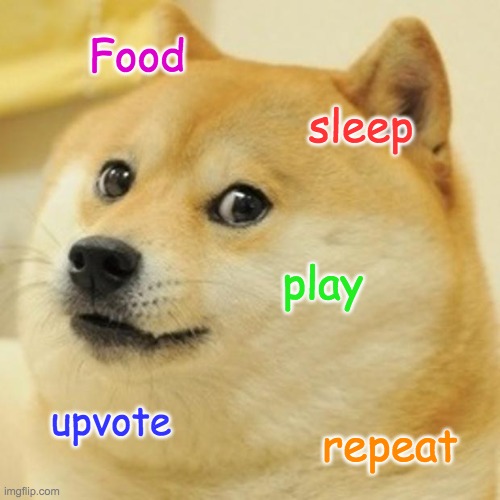 Doge Meme | Food; sleep; play; upvote; repeat | image tagged in memes,doge | made w/ Imgflip meme maker