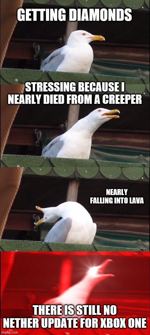 Me in minecraft | GETTING DIAMONDS; STRESSING BECAUSE I NEARLY DIED FROM A CREEPER; NEARLY FALLING INTO LAVA; THERE IS STILL NO NETHER UPDATE FOR XBOX ONE | image tagged in memes,inhaling seagull | made w/ Imgflip meme maker