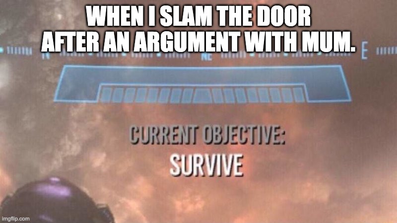 Run | WHEN I SLAM THE DOOR AFTER AN ARGUMENT WITH MUM. | image tagged in current objective survive | made w/ Imgflip meme maker