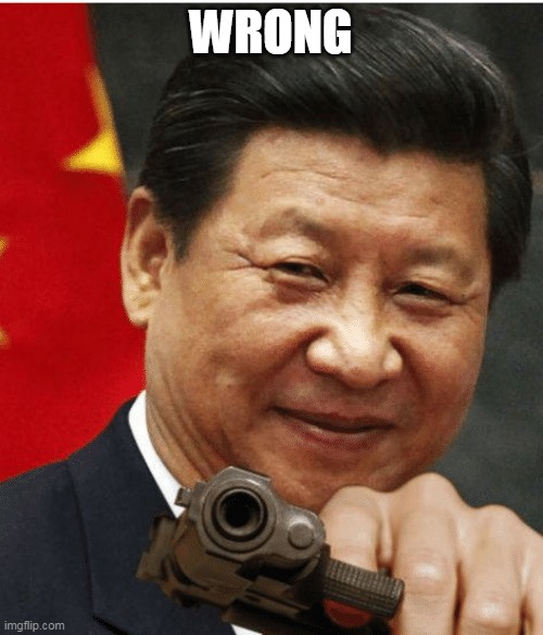 Xi Jinping | WRONG | image tagged in xi jinping | made w/ Imgflip meme maker