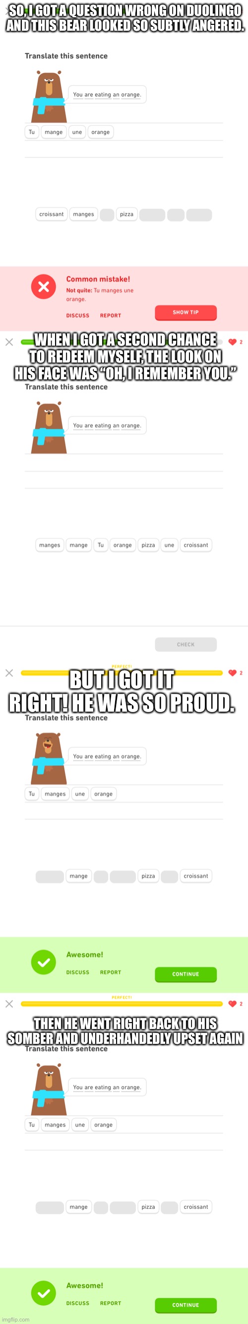 This made me laugh so hard | SO, I GOT A QUESTION WRONG ON DUOLINGO AND THIS BEAR LOOKED SO SUBTLY ANGERED. WHEN I GOT A SECOND CHANCE TO REDEEM MYSELF, THE LOOK ON HIS FACE WAS “OH, I REMEMBER YOU.”; BUT I GOT IT RIGHT! HE WAS SO PROUD. THEN HE WENT RIGHT BACK TO HIS SOMBER AND UNDERHANDEDLY UPSET AGAIN | image tagged in duolingo,bear,mad | made w/ Imgflip meme maker