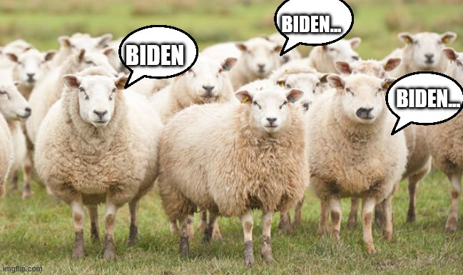 BIDEN... BIDEN... BIDEN | made w/ Imgflip meme maker