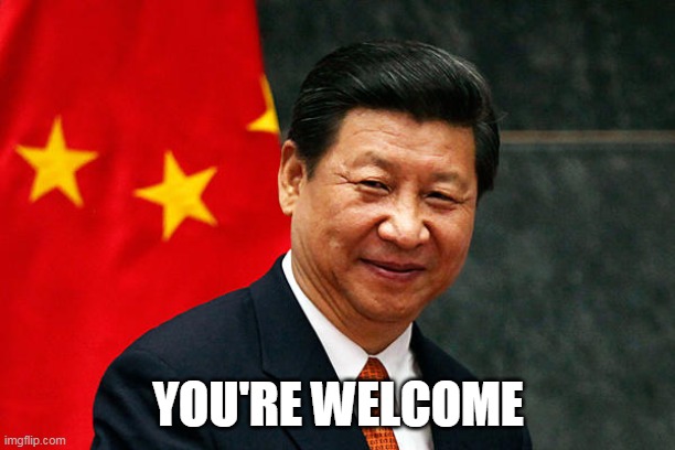 Xi Jinping | YOU'RE WELCOME | image tagged in xi jinping | made w/ Imgflip meme maker