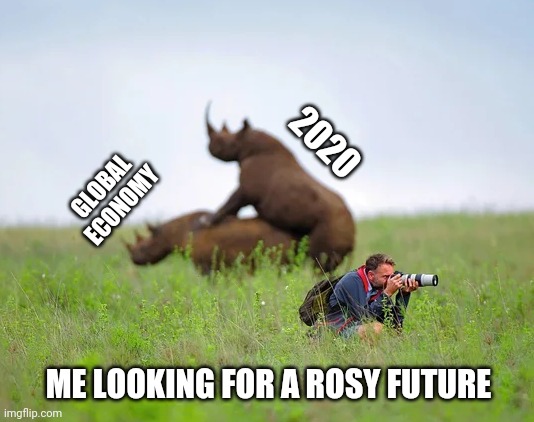 The me in denial! | 2020; GLOBAL
ECONOMY; ME LOOKING FOR A ROSY FUTURE | image tagged in rhinoceros and photographer | made w/ Imgflip meme maker